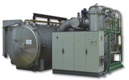 Freeze drying system for berries