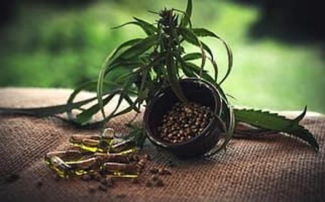Freeze drying microencapsulated hemp seed oil