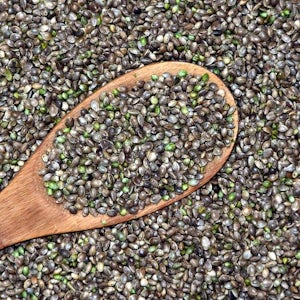 Hemp seeds
