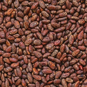 Cocoa beans