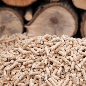 Pellet fuel