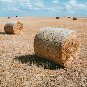 Straw