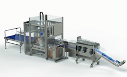 Semi-automatic case packer for chip bags