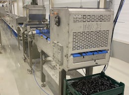 Industrial guillotine machine for extruded foods