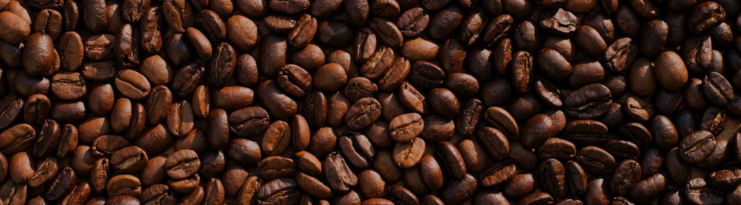 Coffee Processing Equipment and Machinery