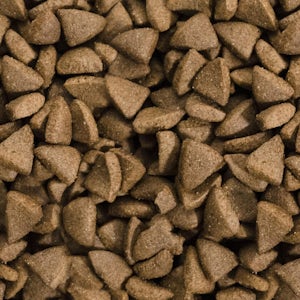 Dry pet food
