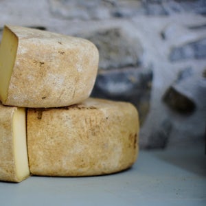 Cheese